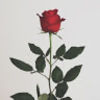 claudiam656